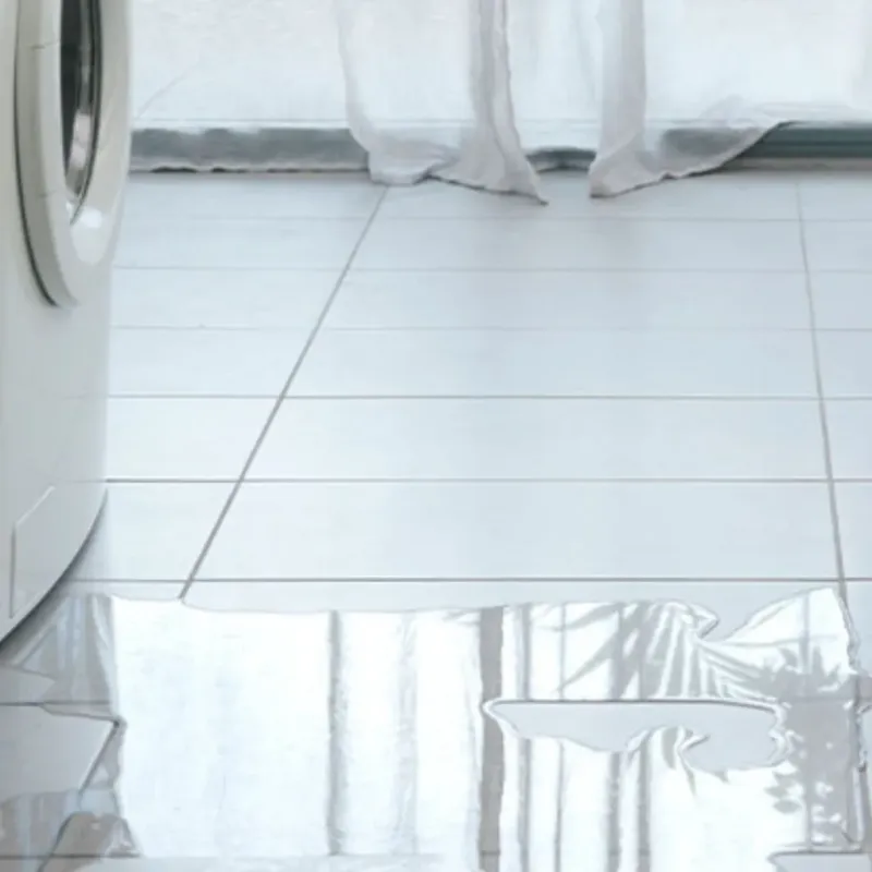 Appliance Leak Cleanup in Silvis, IL
