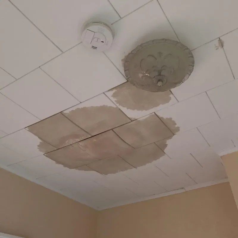 Ceiling Water Damage Repair in Silvis, IL