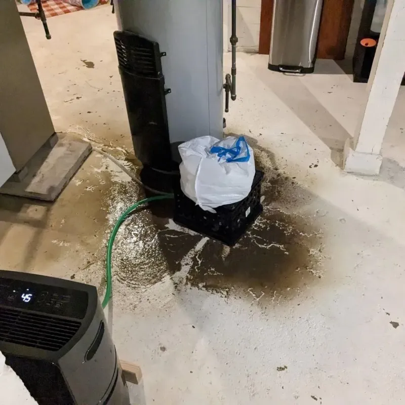 Sewage Backup Cleanup Service in Silvis, IL